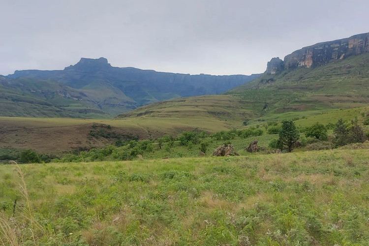 Royal Natal National Park - Things to do in the Drakensberg