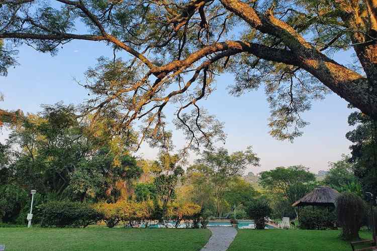 Thokozani Lodge - Things to do in White River