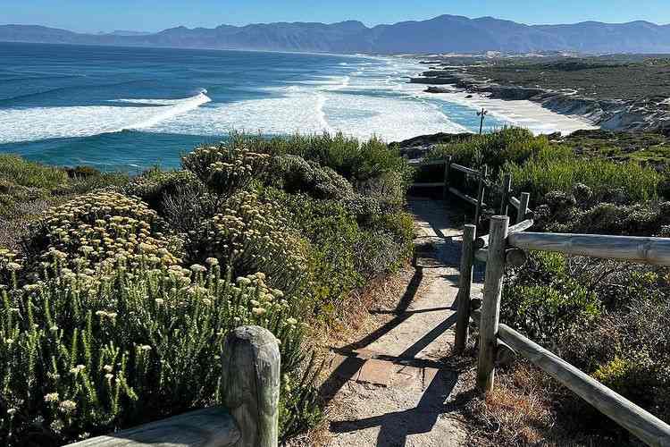 walker bay nature reserve office - things to do in gansbaai