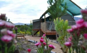 1-night stay overberg