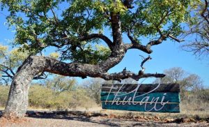 The welcome sign at Thulani Game Lodge in Waterberg