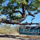 The welcome sign at Thulani Game Lodge in Waterberg