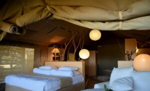 2-Night Stay Waterberg