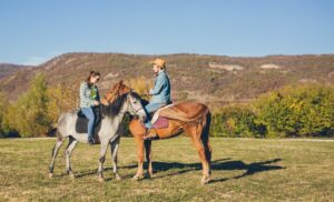 A Horse Riding Experience and Picnic for 2 in Meyerton