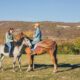 A Horse Riding Experience and Picnic for 2 in Meyerton