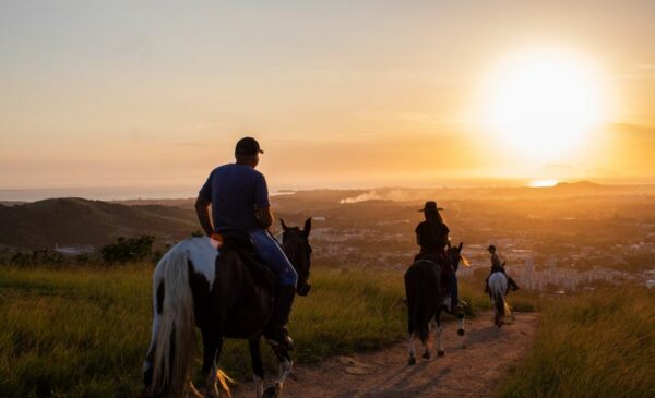 A Horse Riding Experience for 2 People in Pretoria