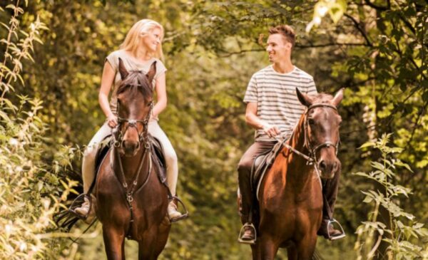 A Horse-Riding Experience for 2 in Rayton