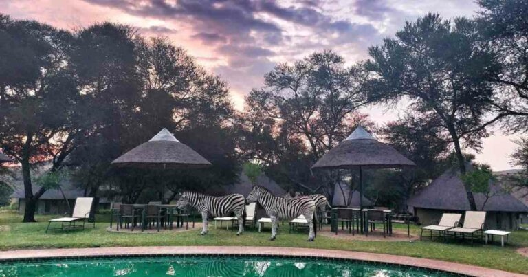 15 Awesome Things to Do in Muldersdrift