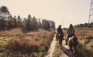 A 2-hour Horse-Back Outride for 2 in Paarl