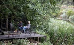 A Tree Top 2-Night Midweek Stay for 2 in Citrusdal