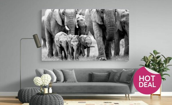 An A1 Framed Stretch Canvas To Hang On Your Wall