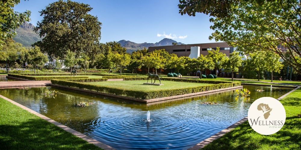 A HeadtoToe Pamper Session in Somerset West