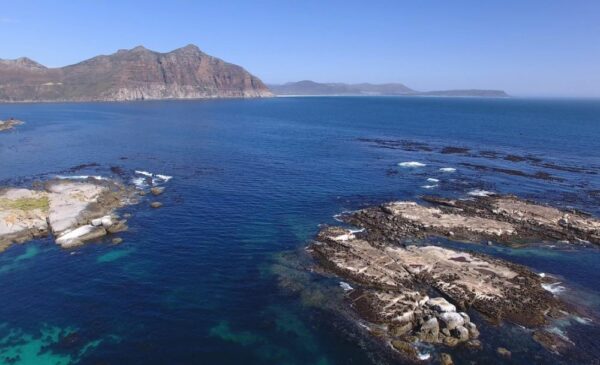 The ocean view spotted from a Circe Launches cruise in Hout Bay