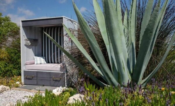 The outside area at Farr Out Guesthouse in Paternoster