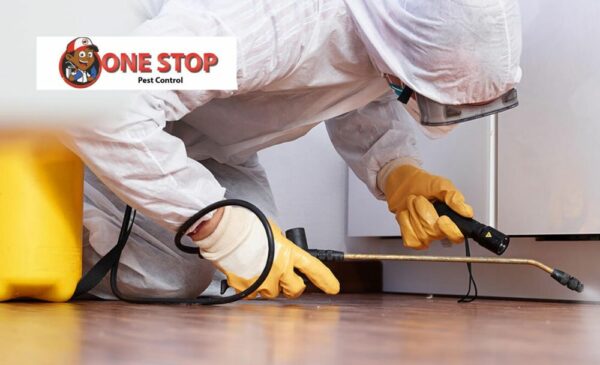 A Pest Control Service in Johannesburg North