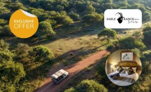 A Game Drive and Accomodation at The Sable Ranch Lodge