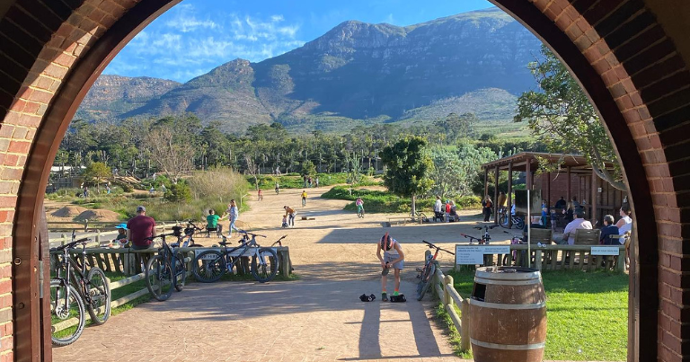Things to do in Constantia