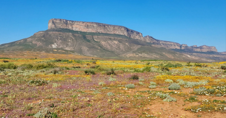 10 Interesting things to do the Northern Cape