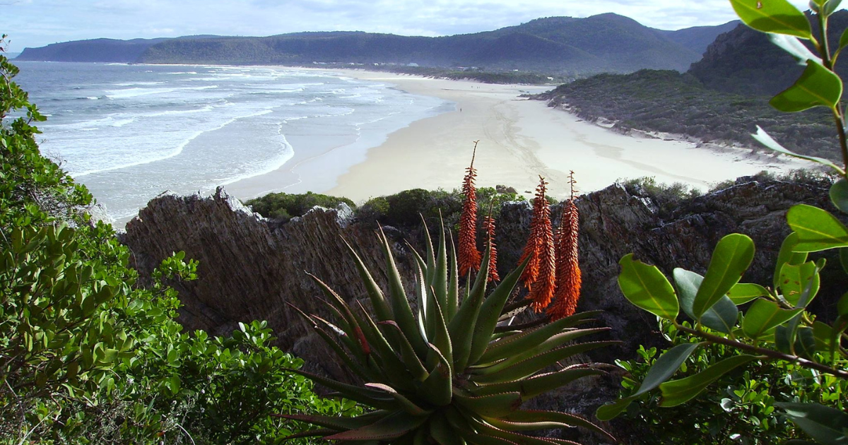 things to do in Storms River