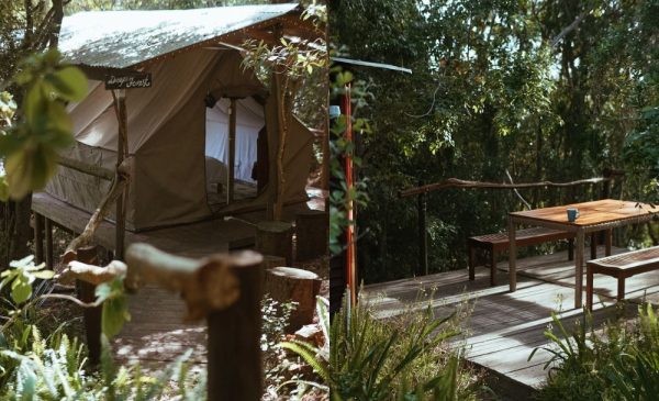 A collage of the Deep Forest Glamping Tent at Peace of Eden in Knysna