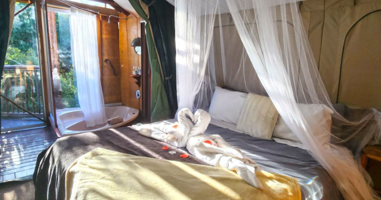 Ultimate Glamping Sites in the Western Cape 