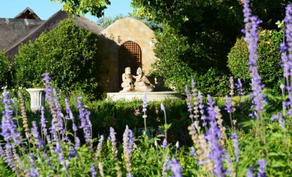 The outside garden at Valverde Eco Hotel in Muldersdrif