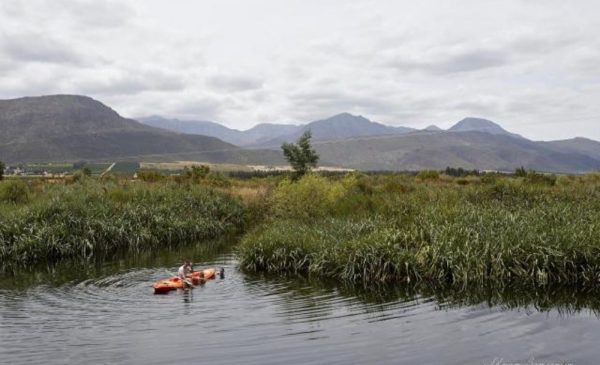 A guest kayaking on the lake at Cedar Escape in Citrusdal