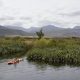 A guest kayaking on the lake at Cedar Escape in Citrusdal