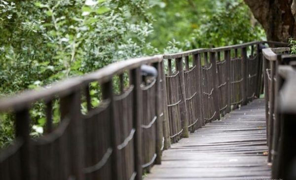 The walkway between cabins at Cedar Escape in Citrusdal