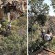 A collage of someone trying a canopy tour at Magaliesberg Canopy Tours in Rustenburg