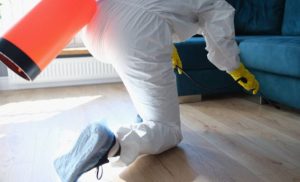 A stock photo of someone doing a fumigation session in an apartment