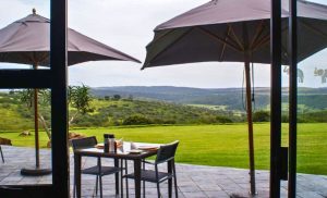 The view of Umbono Private Game Lodge in Alexandria