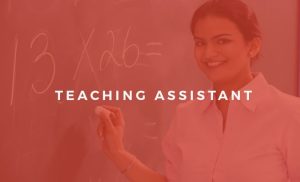 An Online Teaching Assistant Course for SEN Students