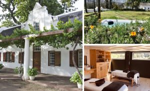 A Luxury Couple's Escape in the Cape Winelands