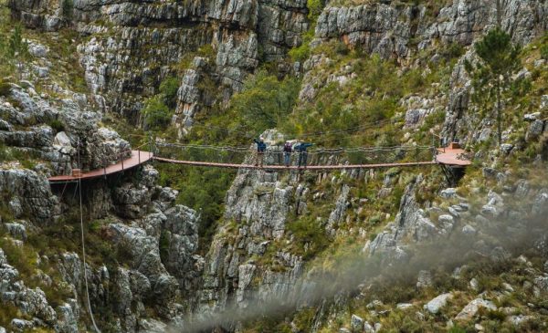 People during a canopy tour from Cape Canopy Tours at the Hottentots Holland Nature Reserve