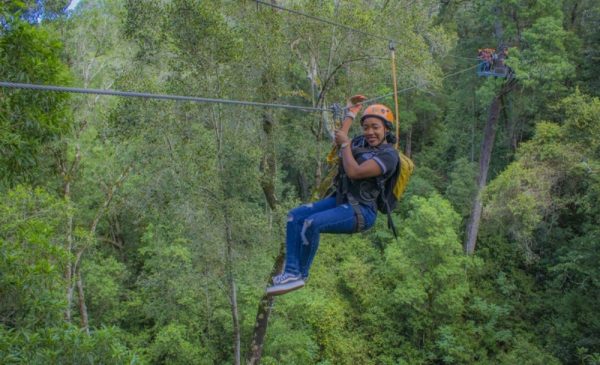 A person during a canopy tour from Cape Canopy Tours at the Hottentots Holland Nature Reserve