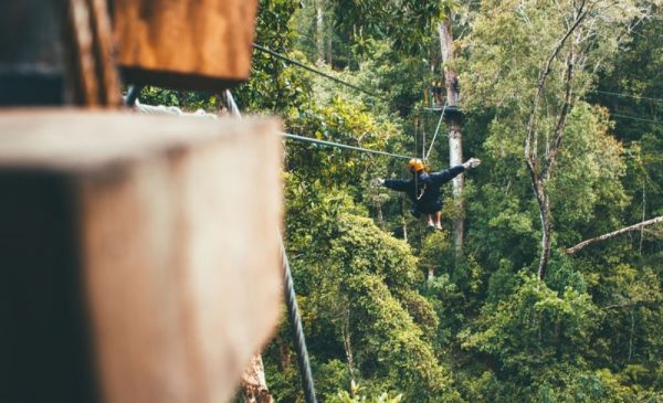 A person during a canopy tour from Cape Canopy Tours at the Hottentots Holland Nature Reserve