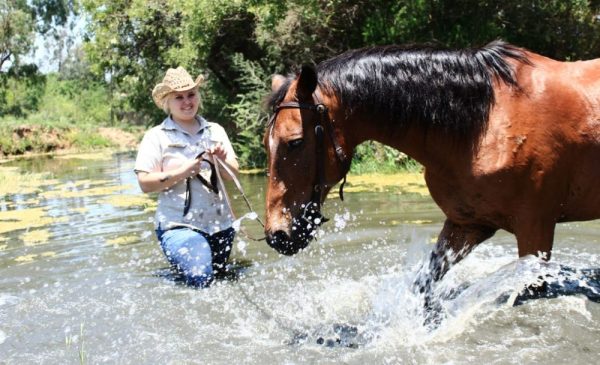 A woman with a horse in a stream from SA Horse Trails in Fourways