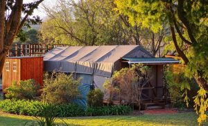 A 1-Night Stay in a Luxury Tent in Tulbagh