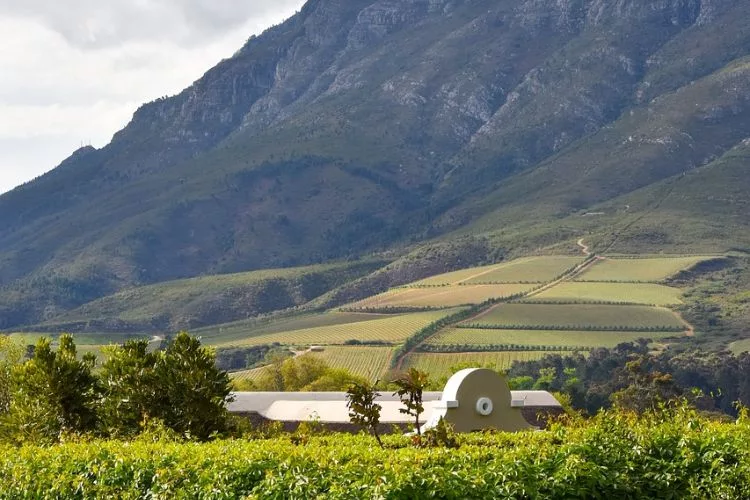 Cape Winelands - Best local getaways in South Africa