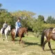 horse riding in Fairways