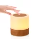 USB Charging Portable Remote Controlled Touch Lamp Night Light_0