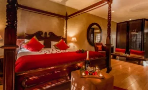 A 1-Night Stay at Singa Lodge