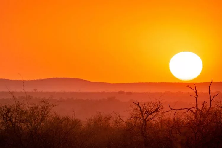 Travel Destinations in South Africa - Kruger National Park