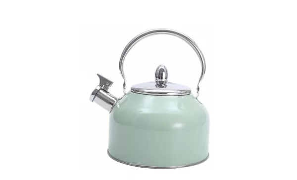 Stove top kettle