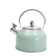 Stove top kettle