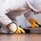 Pest Control for a 2 or 3-Bedroom Home in Johannesburg North