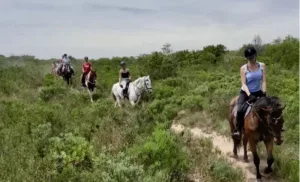 horse trail riding