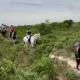 horse trail riding