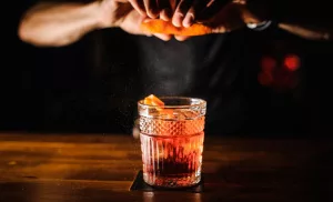 A Bartending & Cocktails Course Taught by Pro Mixologists